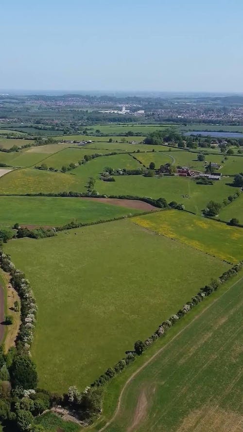 Fields on Plains under Clear Sky