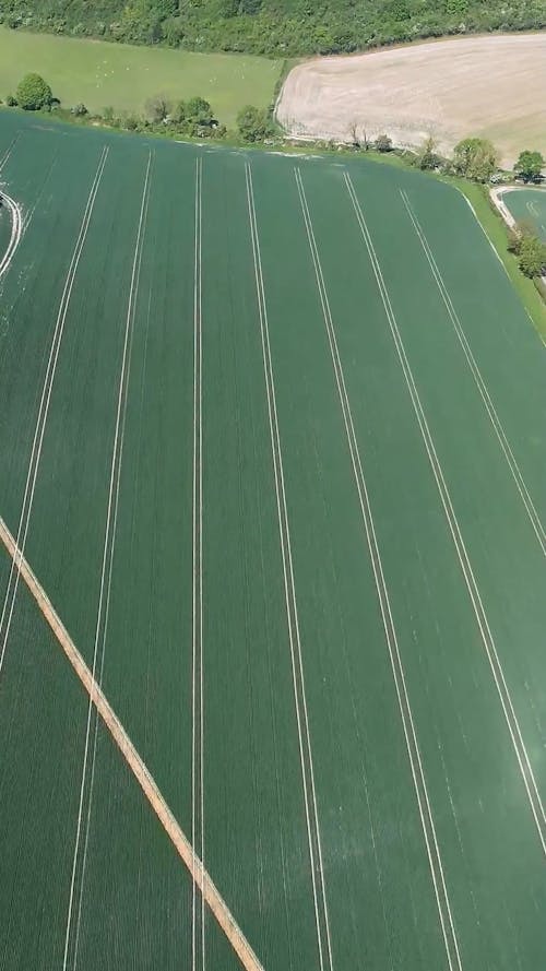 Rural Landscape of Fields