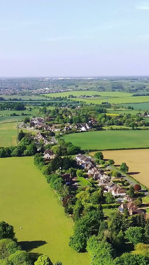 A Village Surrounded by Trees