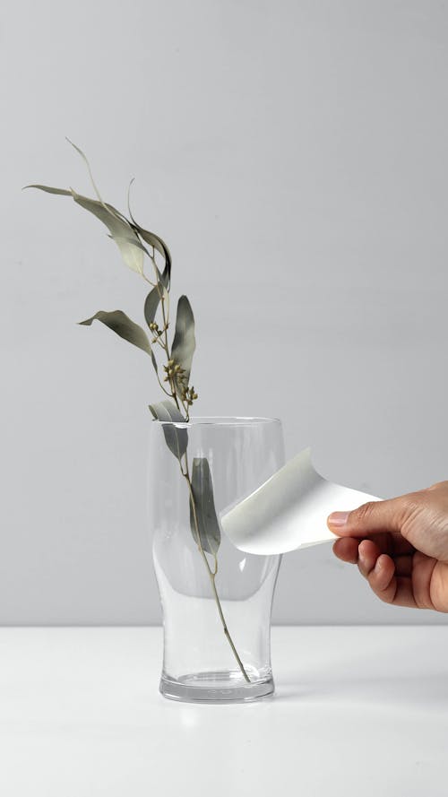 Hand Sticking Sticky Note to Glass with Plant