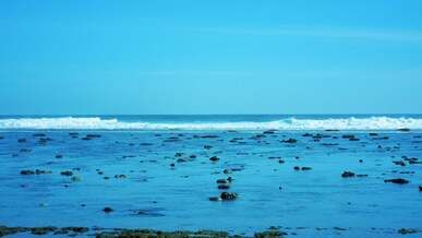 waves on sea shore