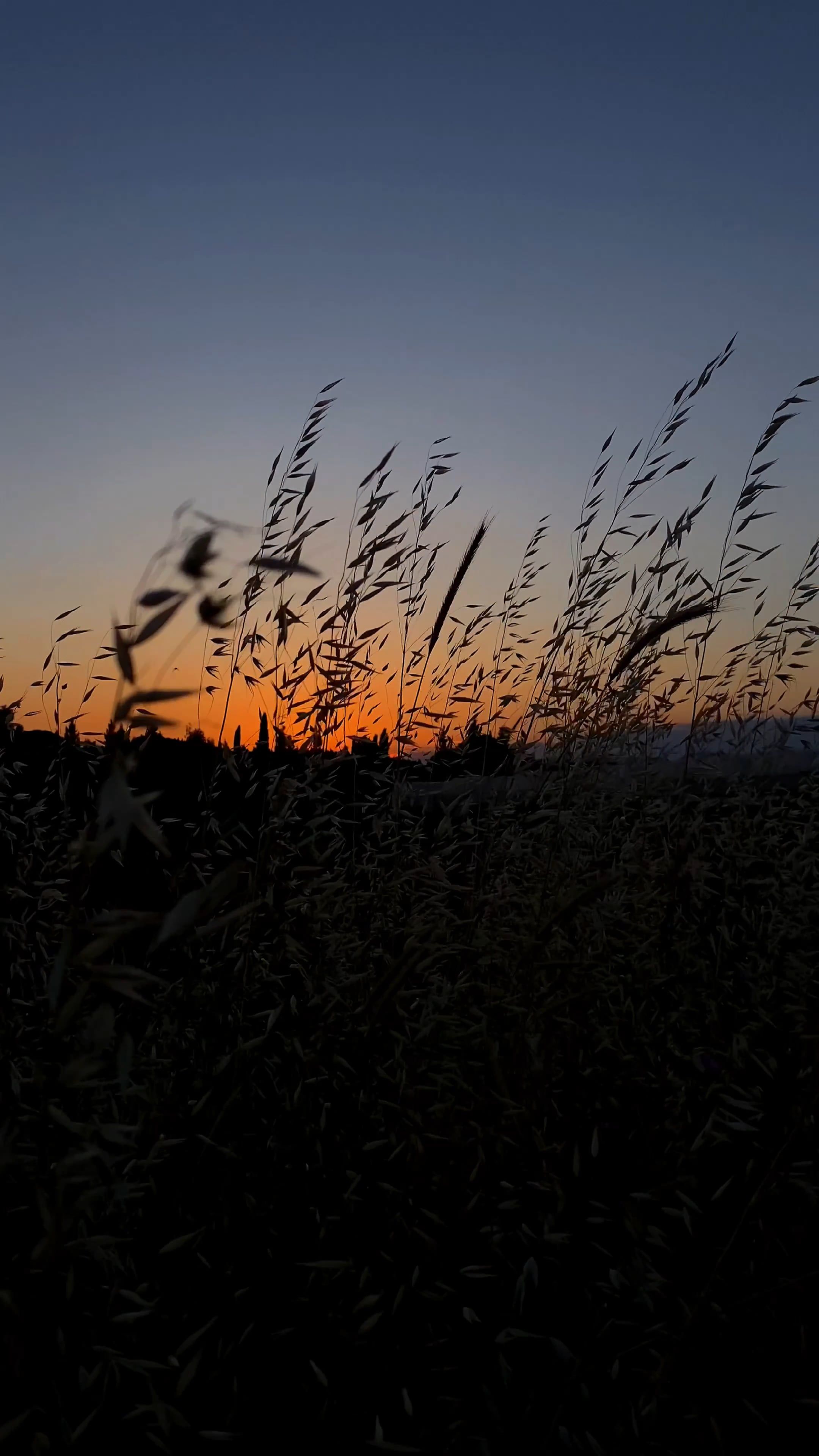 Video by beytlik