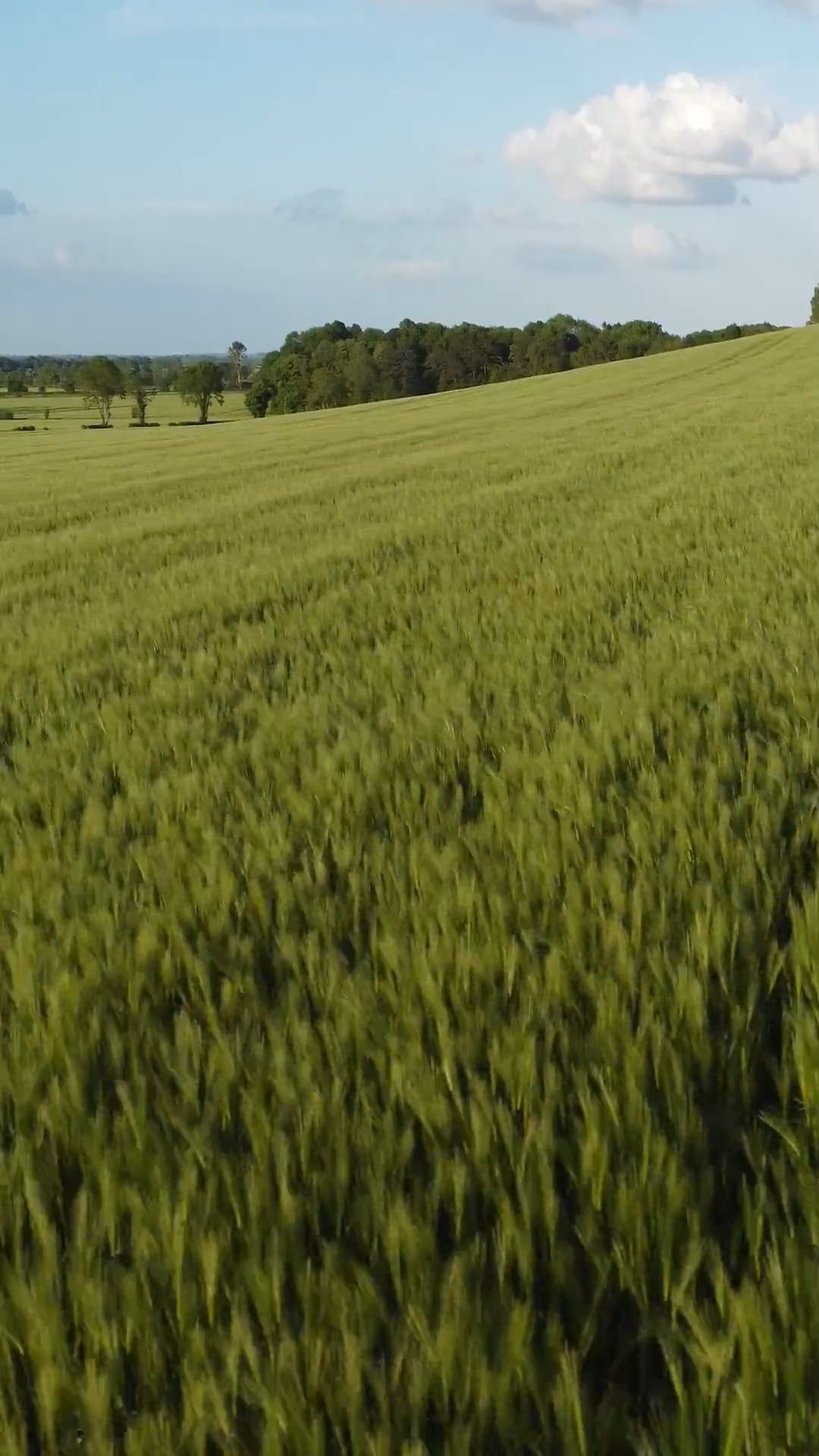 Drone Footage of Field Free Stock Video Footage, Royalty-Free 4K & HD ...