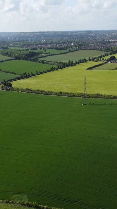 Green Agricultural Fields