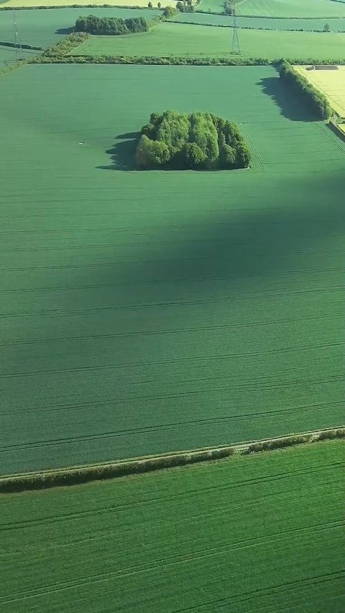 Rural Patchwork Landscape