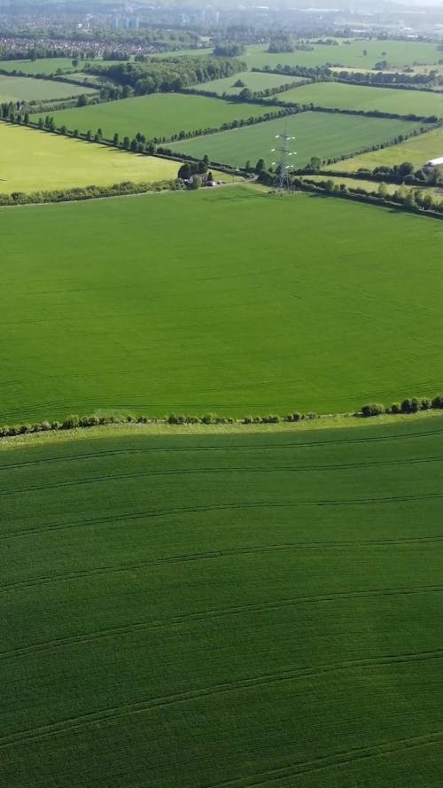 Green Patchwork Landscape