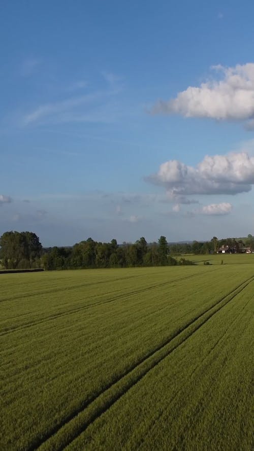 Clouds over Field