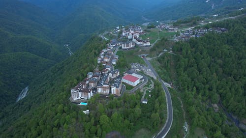 Mountain Resort and Forest
