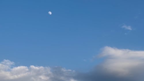 Waxing Gibbous Moon during Daylight