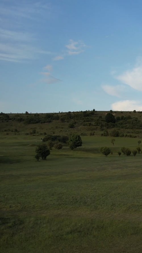 Grass Landscape in Birds Eye View