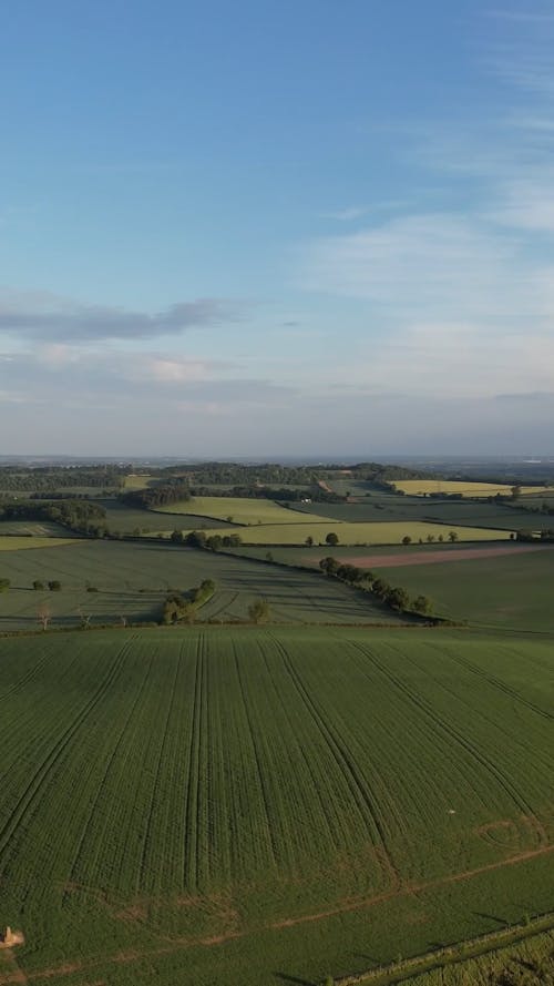 Trees over Plains