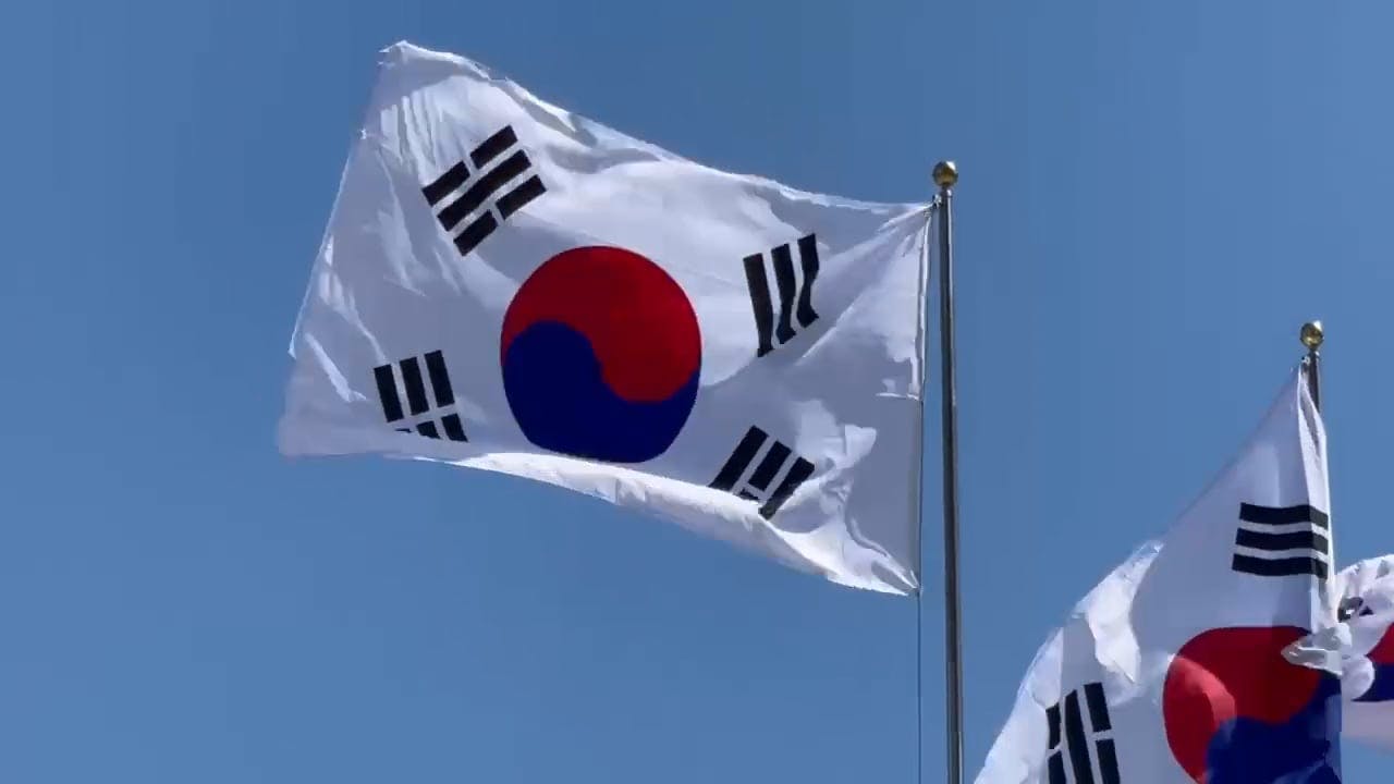 Numerous Korean Flags Waving on Poles Free Stock Video Footage, Royalty