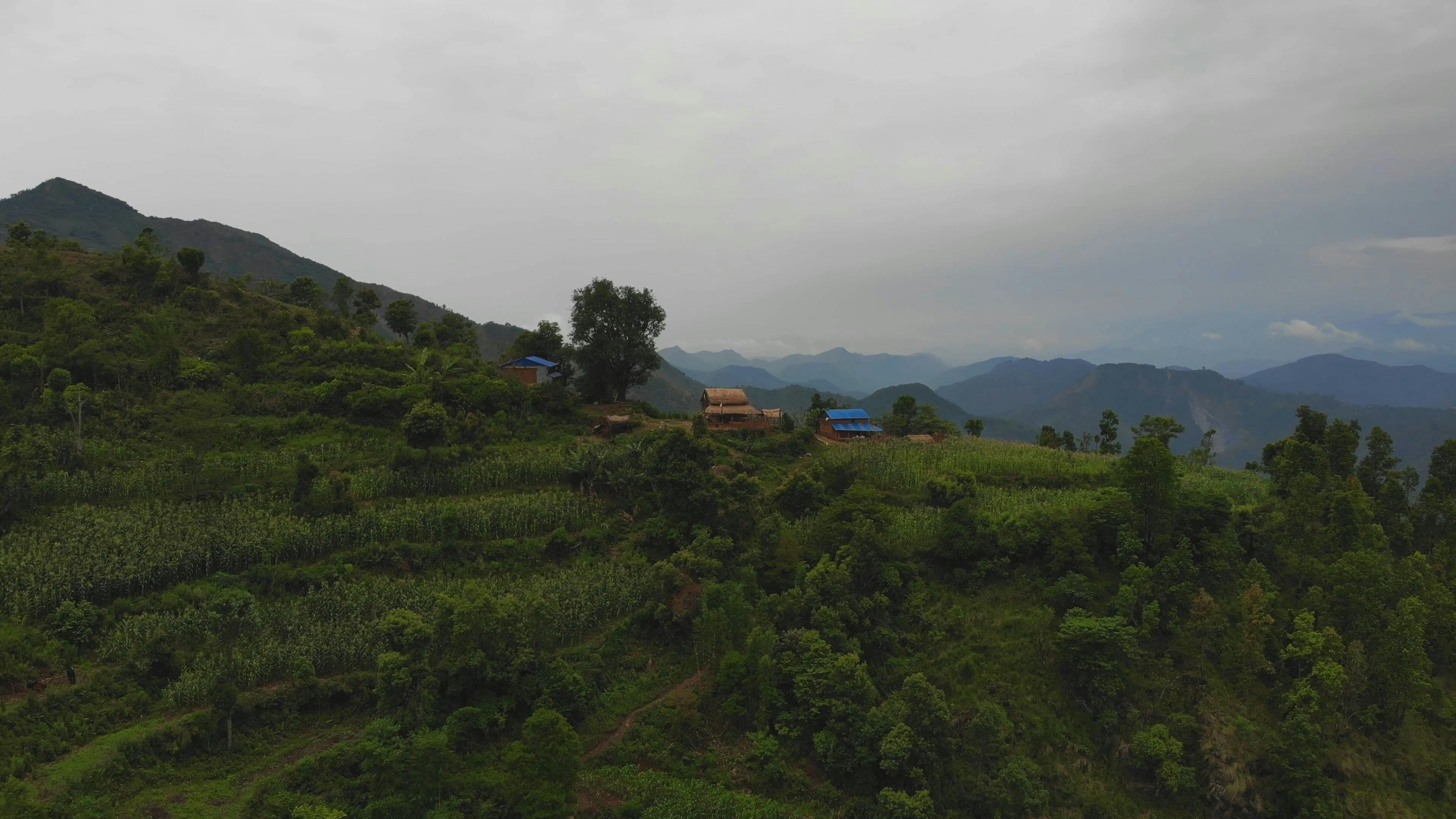 Video by SwissHumanity Stories