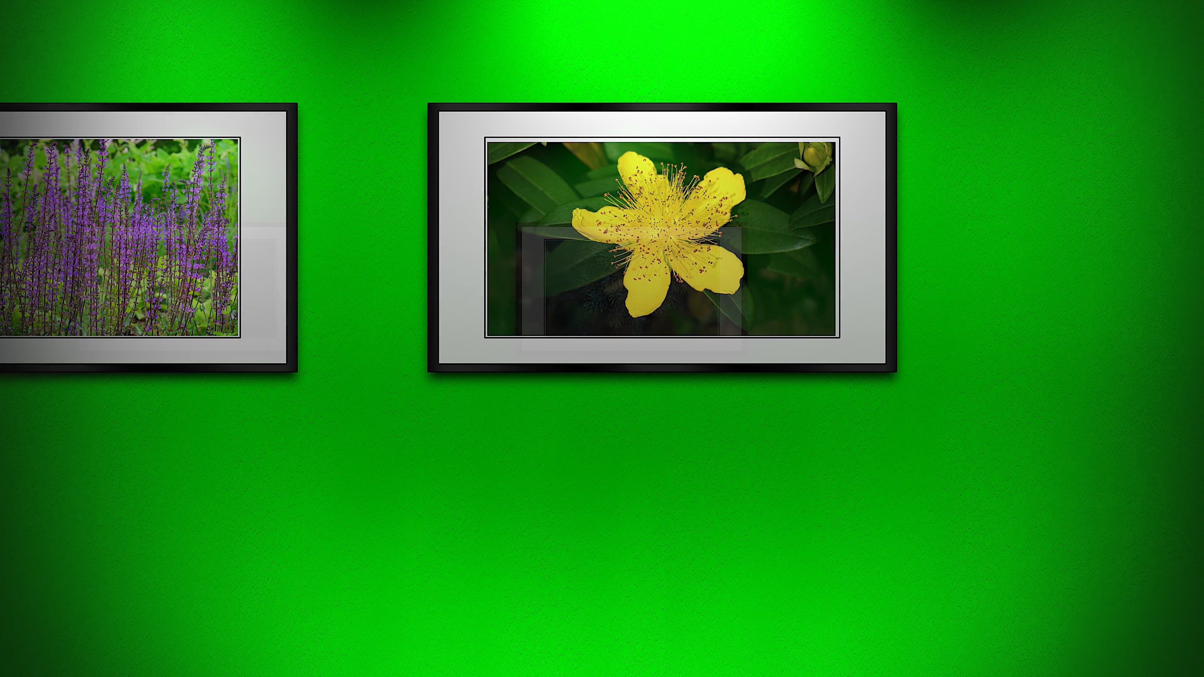 20260505+Beautiful+Picture Videos, Download The BEST Free 4k Stock ...