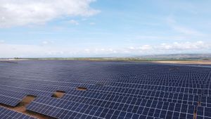 Drone Footage of Solar Farm Free Stock Video Footage, Royalty-Free 4K ...
