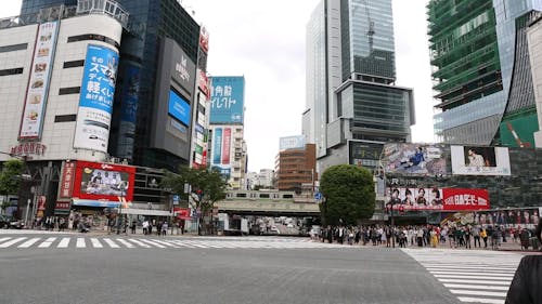 Vehicles and People at Shibuya Crossing in Tokyo 