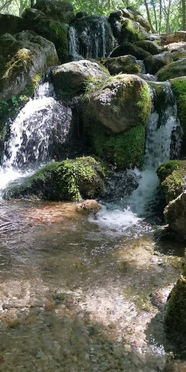 Tranquil Forest Waterfall Flowing Over Rocks Free Stock Video Footage ...