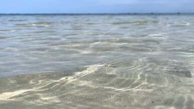 clear water on the sea