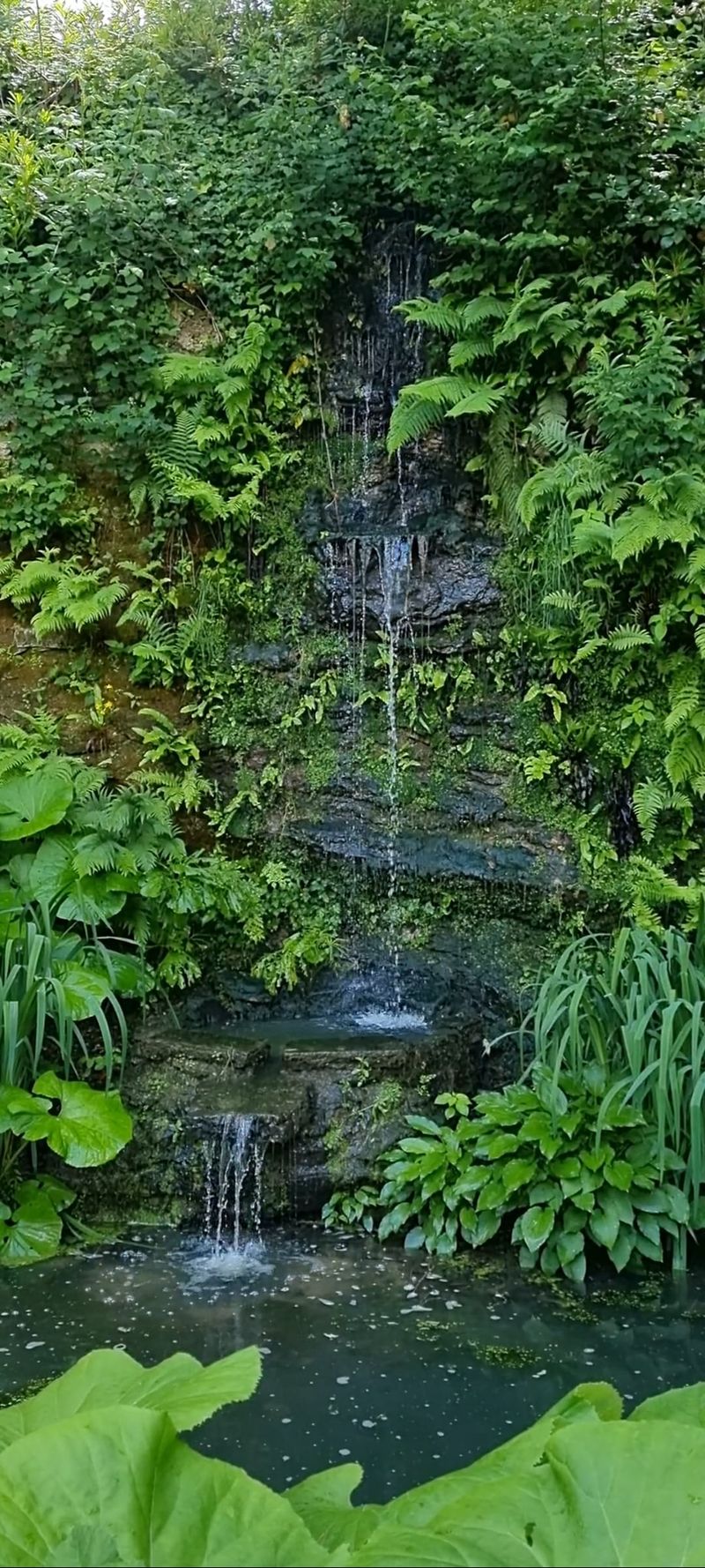 Lush Tropical Rainforest with Cascading Waterfall Free Stock Video ...