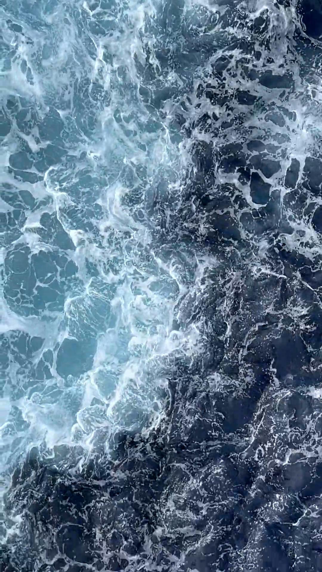 Pexels Video 12339462
