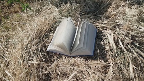 Book on Ground