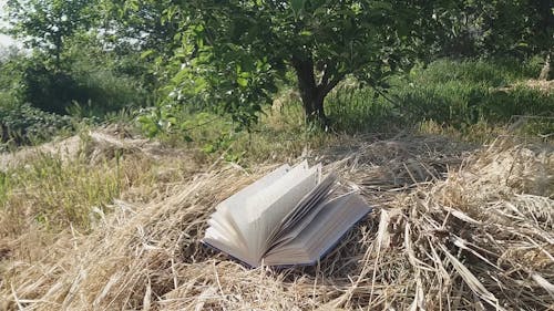 Book on Ground