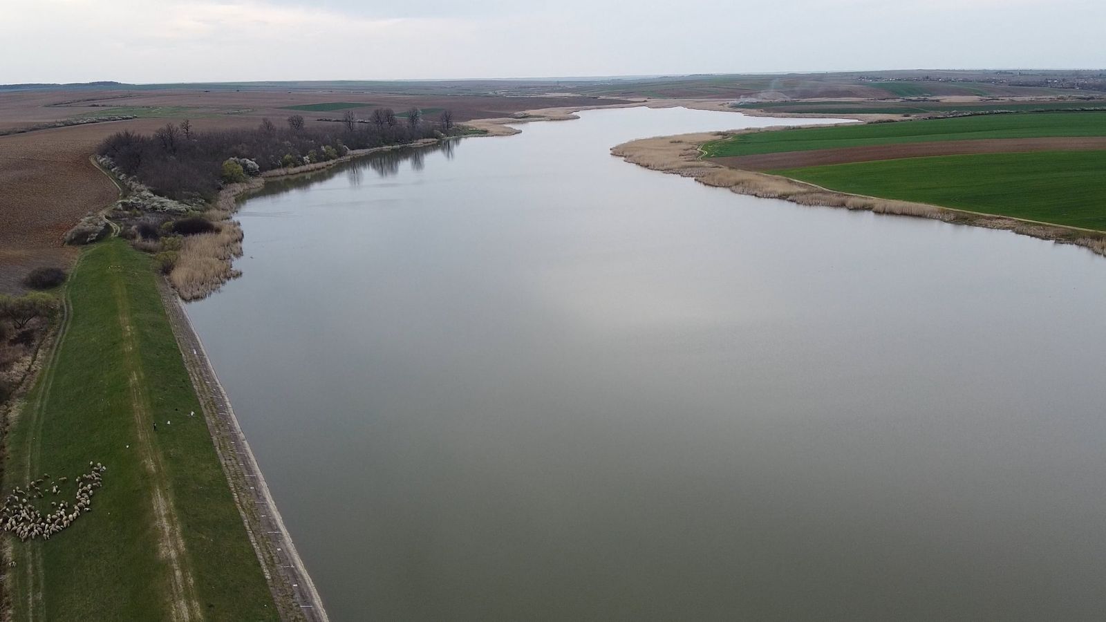 An aerial view of a pond in a field Free Stock Video Footage, Royalty ...