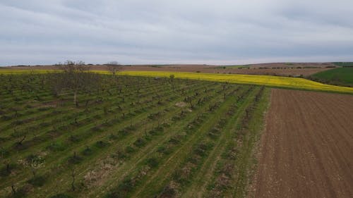 Drone Footage of Cultivated Fields under a Cloudy Sky 