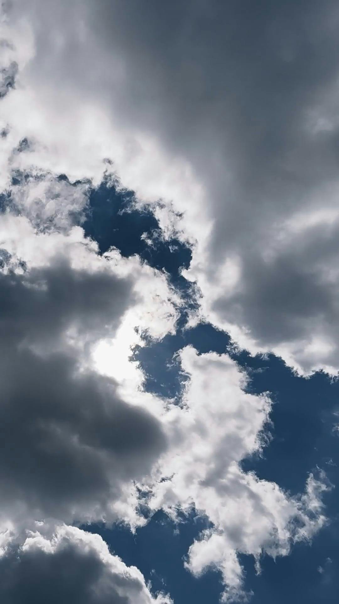 Video by Dmitry Marchenkov