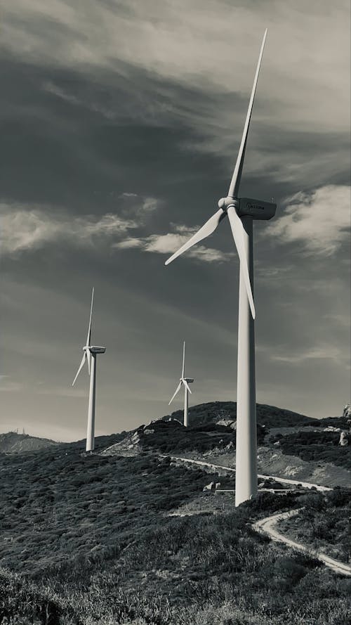 Wind Turbines in Black and White
