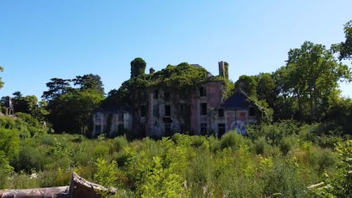 Drone Video of an Abandoned Mansion Covered with Vegetation