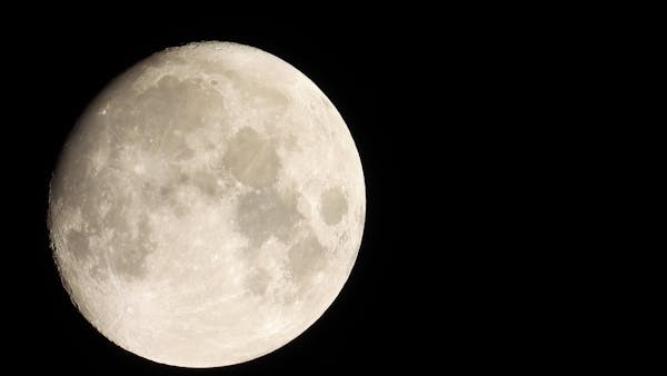 View Of Moon Through Leaves Free Stock Video Footage, Royalty-Free 4K ...