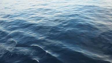 islands in the sea