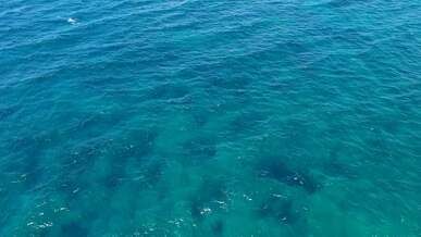 drone video of blue sea