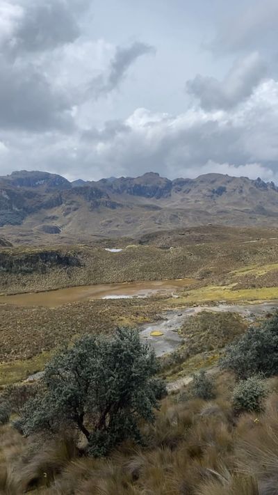 Paul Castle's fantasy landscape cinematic video