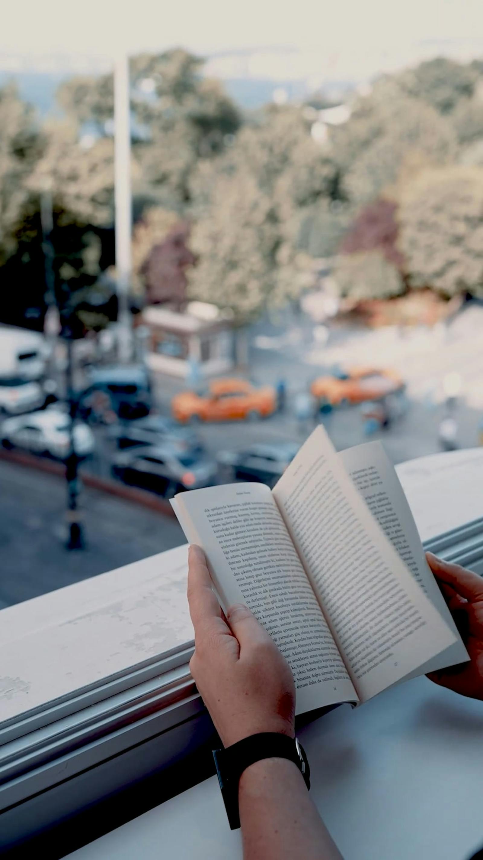 Book and Clips on the Picnic Blanket Free Stock Video Footage, Royalty ...