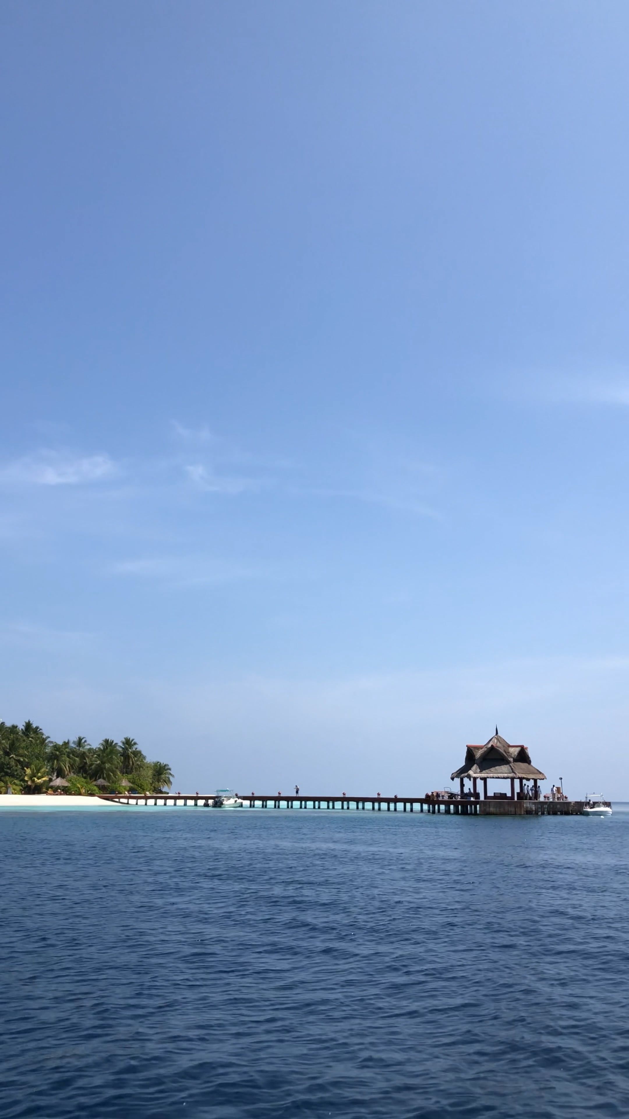 take me here right now
📍 Maldives
🎥 Asad Photo Maldives · Pexels
#travel #beach #island #paradise #wanderlust