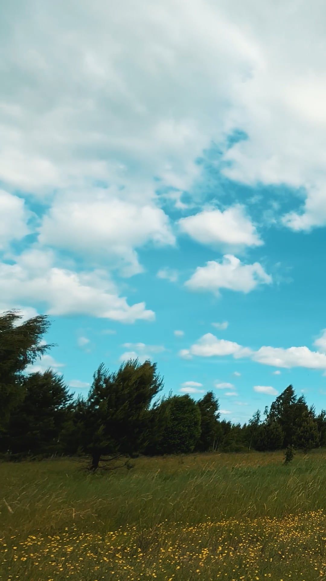 Video by Dmitry Marchenkov