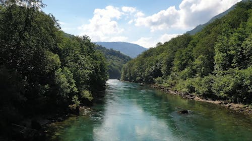 Drone View of a Forest and a River in a Valley