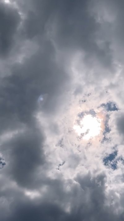 Dmitry Marchenkov's nature timelapse video