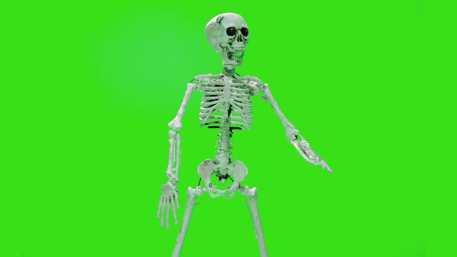 Skeleton Green Screen Videos, Download The BEST Free 4k Stock Video ...