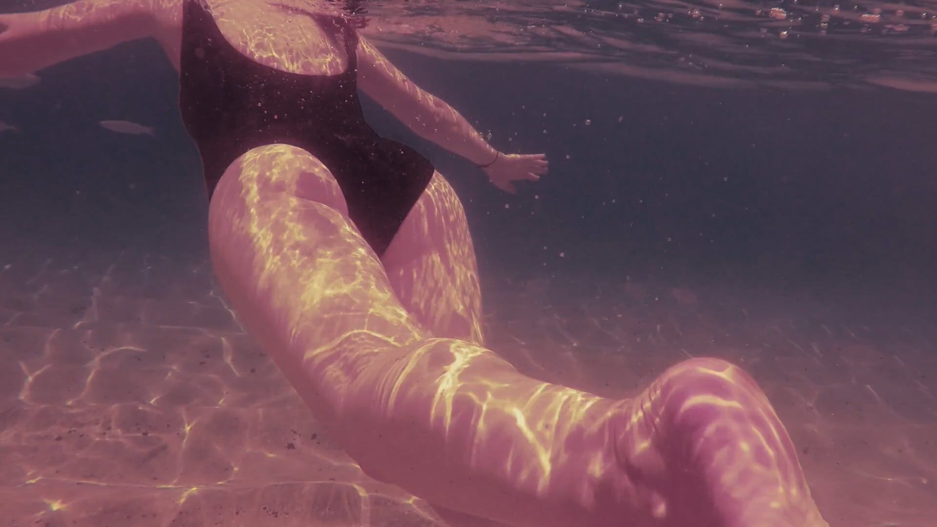 A Woman Swimming with Fish in the Ocean Free Stock Video Footage ...