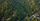 forests