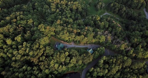 Drone Shot of Buildings in a Forest