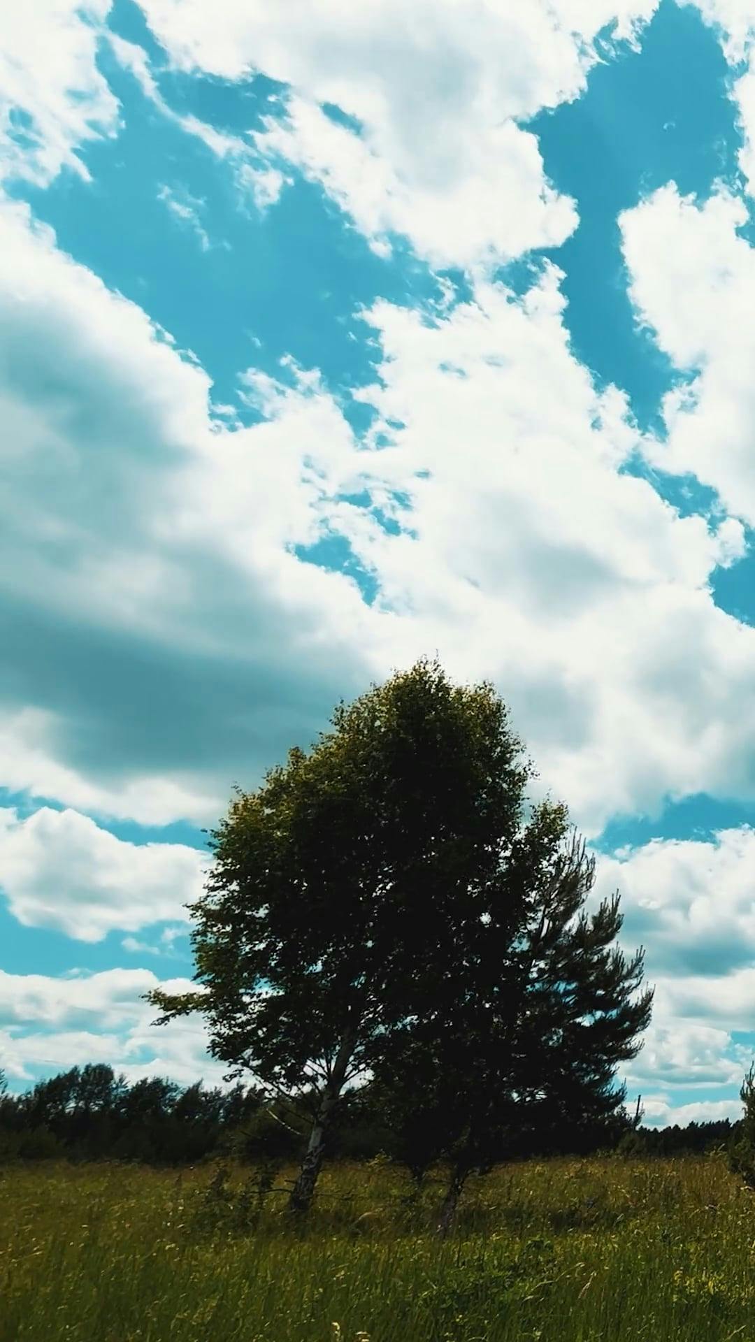 Video by Dmitry Marchenkov