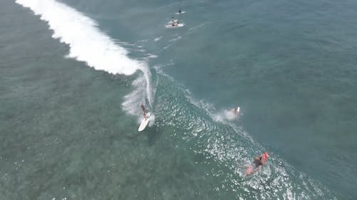 Drone Footage of People Surfing Waves in Hawaii 