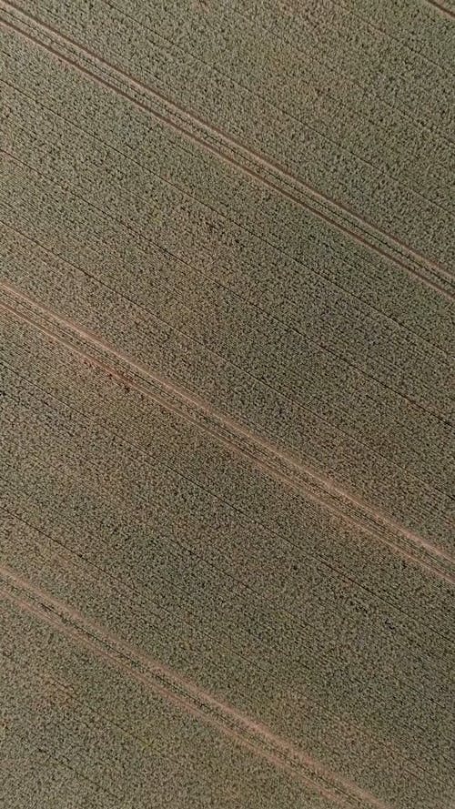 Drone Footage of Fields and Wind Turbines