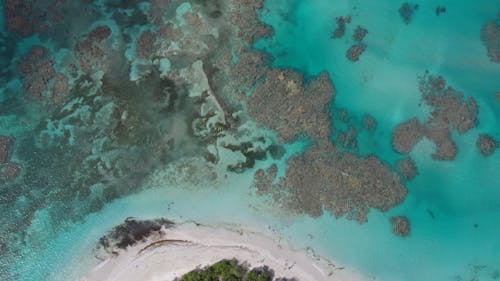 Top View of Coral Reef in a Turquoise Water Sea