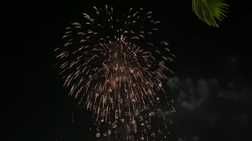 Firework Display in the Sky at Night