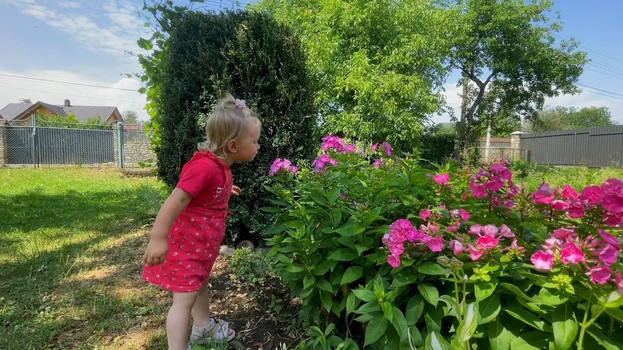 Baby Girl Smelling Flowers in a Yard Free Stock Video Footage, Royalty ...